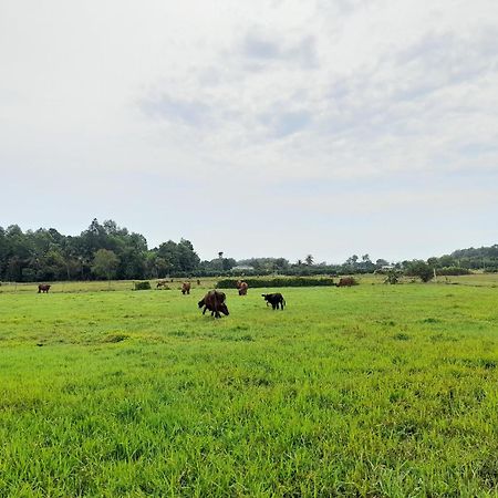 Lotus Farm Retreat Apartment โฮจิมินห์ซิตี้ ภายนอก รูปภาพ