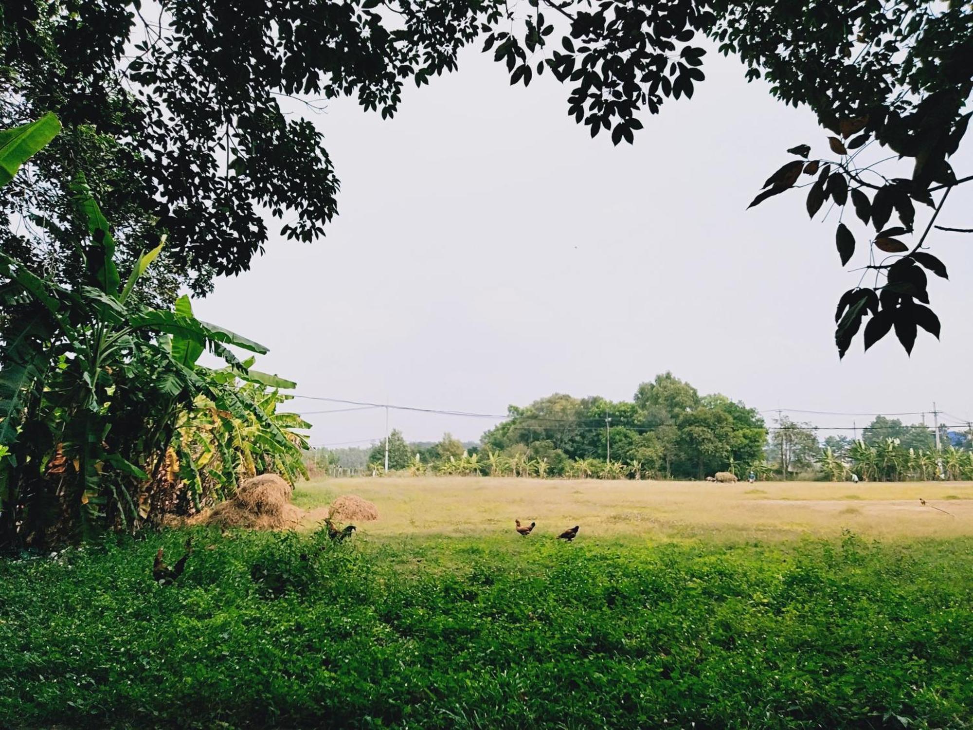 Lotus Farm Retreat Apartment โฮจิมินห์ซิตี้ ภายนอก รูปภาพ