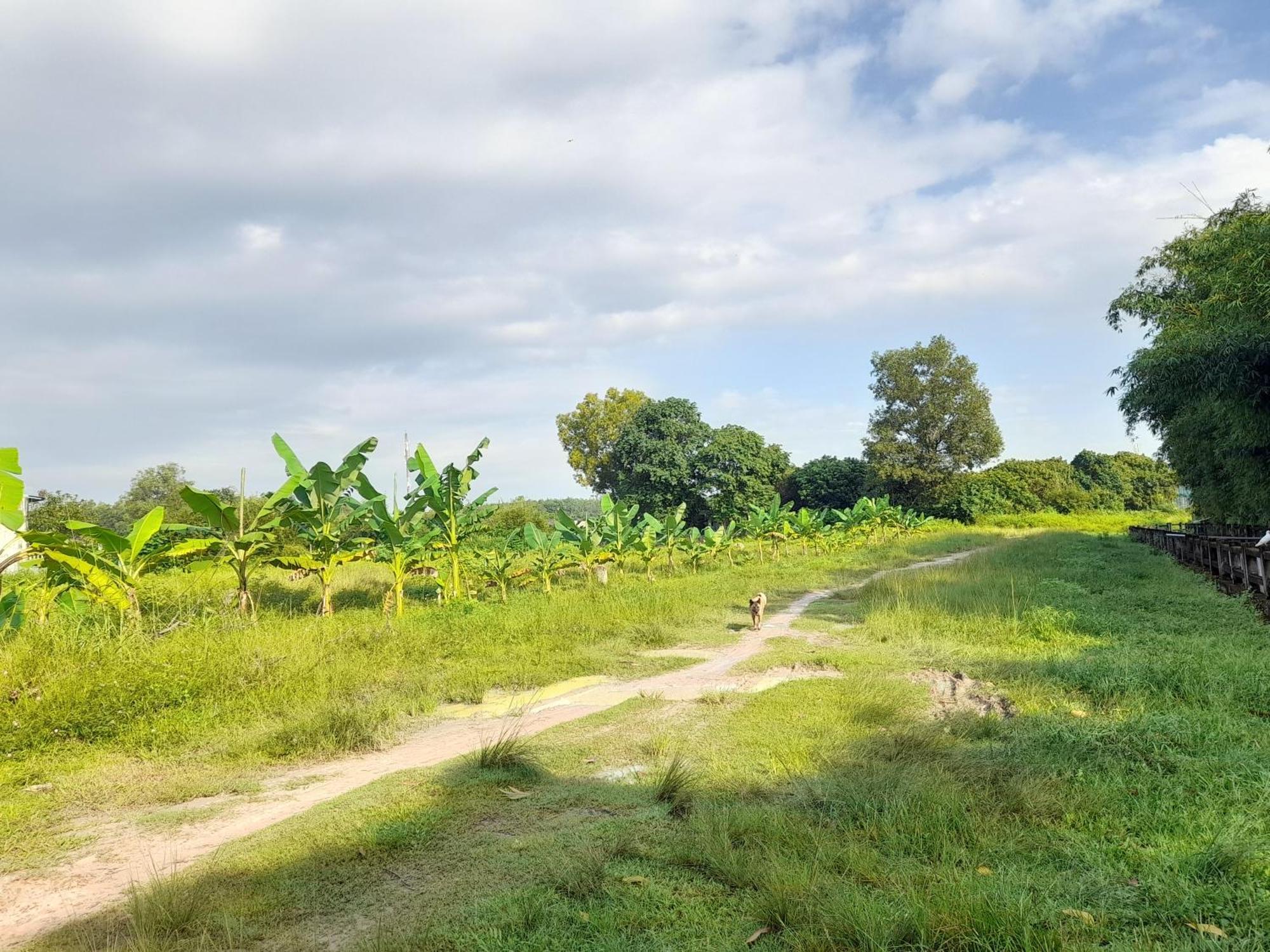 Lotus Farm Retreat Apartment โฮจิมินห์ซิตี้ ภายนอก รูปภาพ