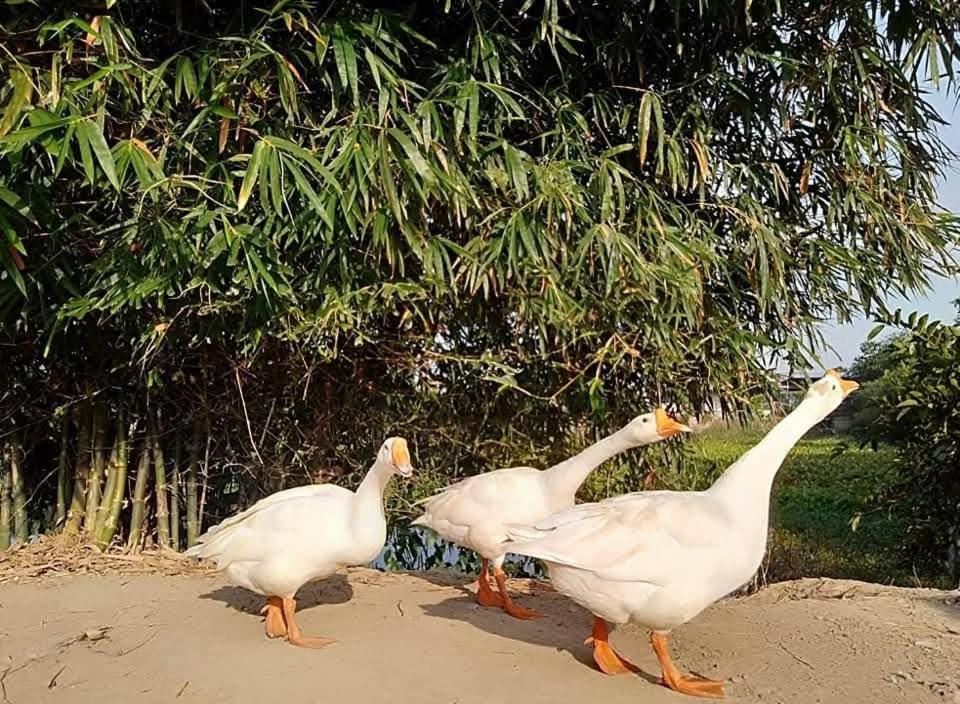Lotus Farm Retreat Apartment โฮจิมินห์ซิตี้ ภายนอก รูปภาพ